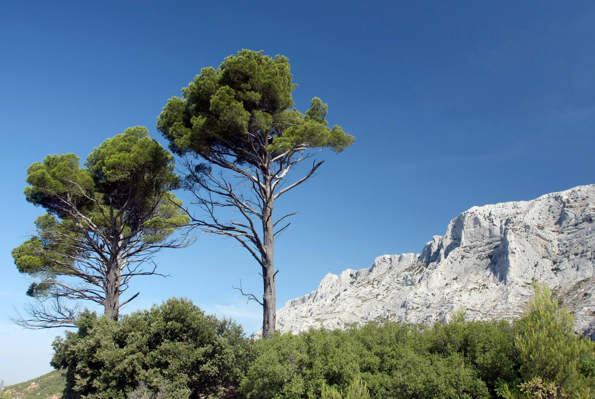 Agence immobilière Les Pennes Mirabeau  Agence Fiorimmo immobilier